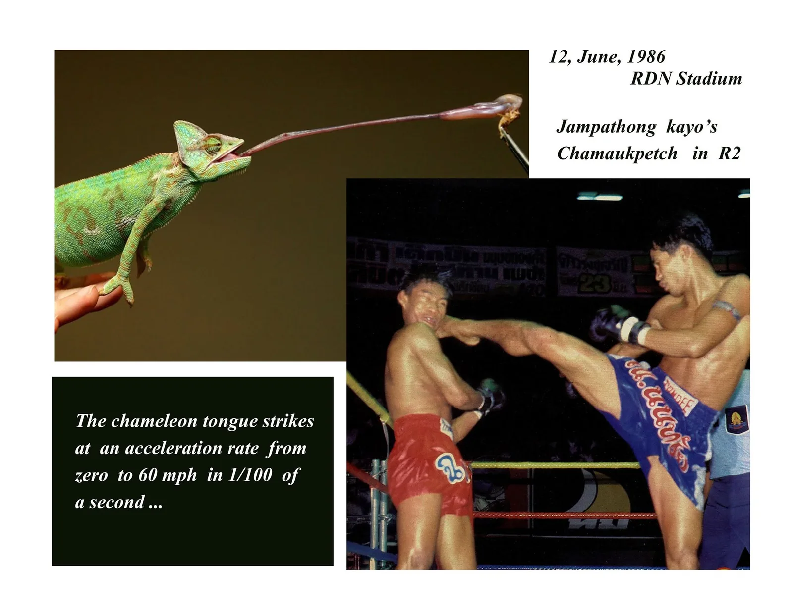 Jampathong, former RDN Bantamweight champion, was evidently the fastest kicker of the 80's.